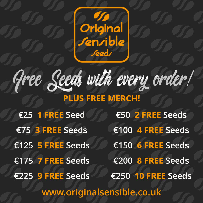 free cannabis seeds