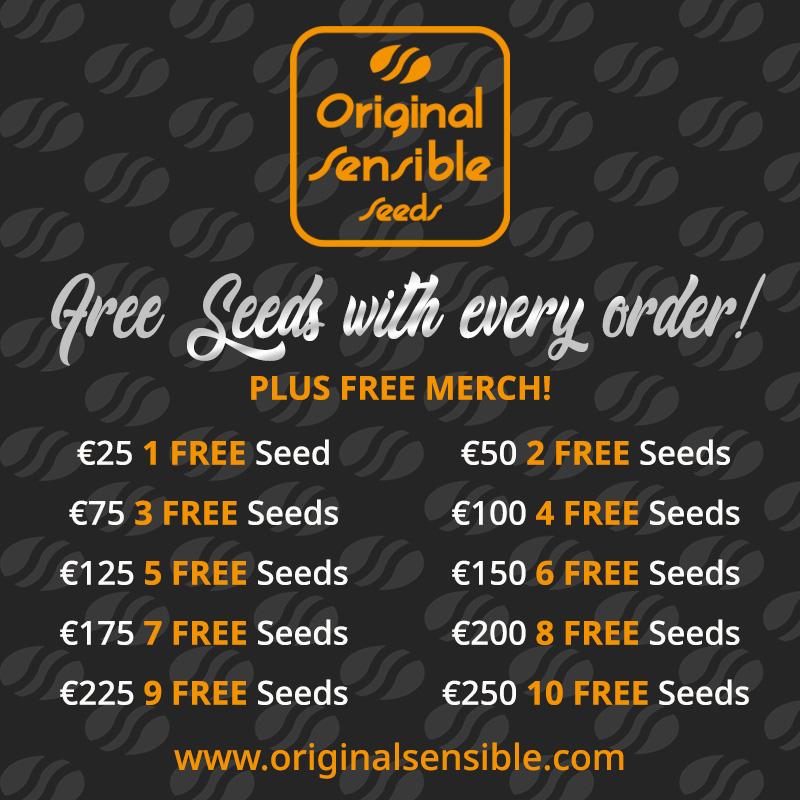 free cannabis seeds