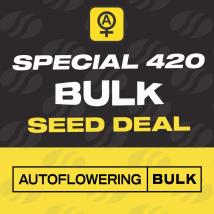 Auto Big Bud x GG#4 Bulk Autoflower Seeds