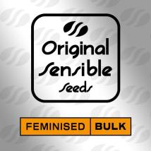 Pineapple Kush  Feminized Seeds