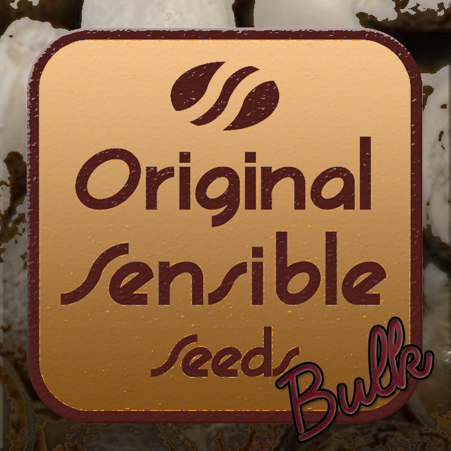 Buy Original Sensible Seeds Fast Skunk FEM