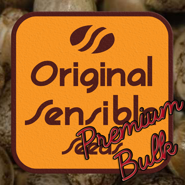 Buy Original Sensible Seeds Gorilla Lemon Fire FEM