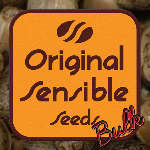 Buy Original Sensible Seeds Wild Thai FEM