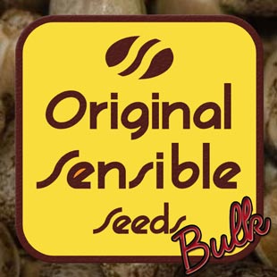 Buy Original Sensible Seeds Power Plant Auto FEM