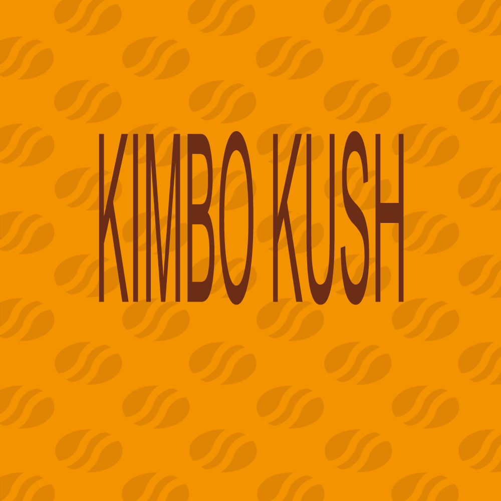 Buy Original Sensible Seeds Kimbo Kush FEM