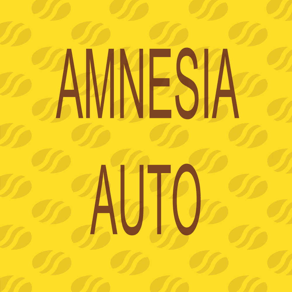 Buy Original Sensible Seeds Amnesia Auto FEM