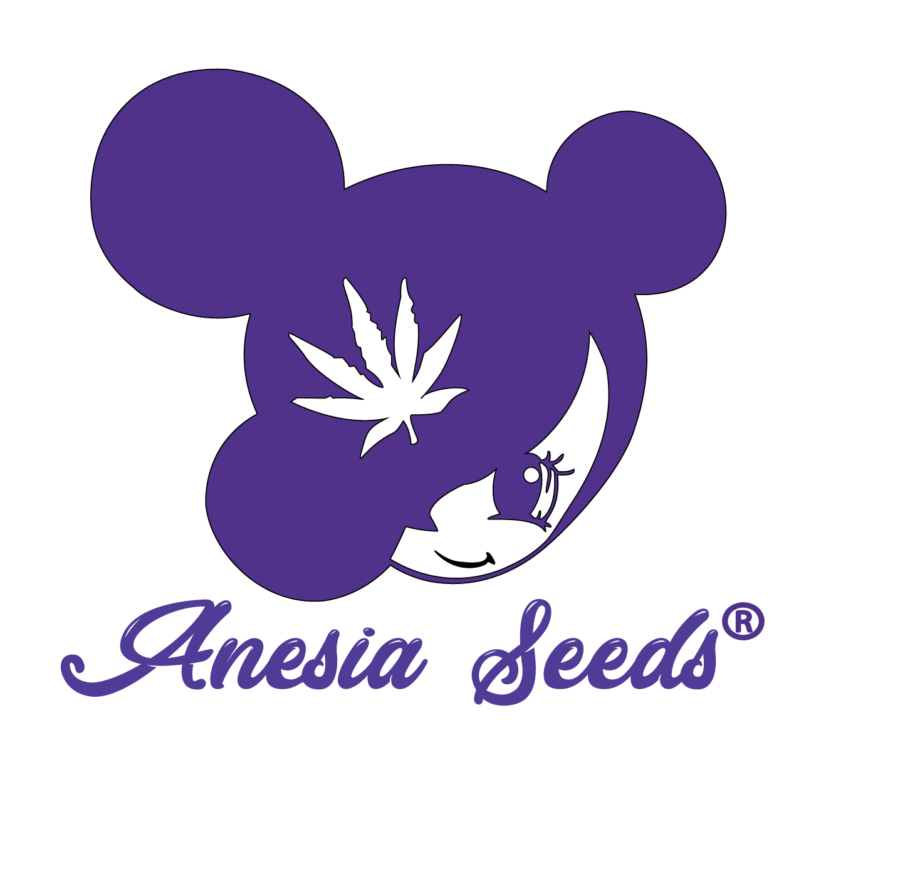 Buy Original Sensible Seeds Fem Mix FEM