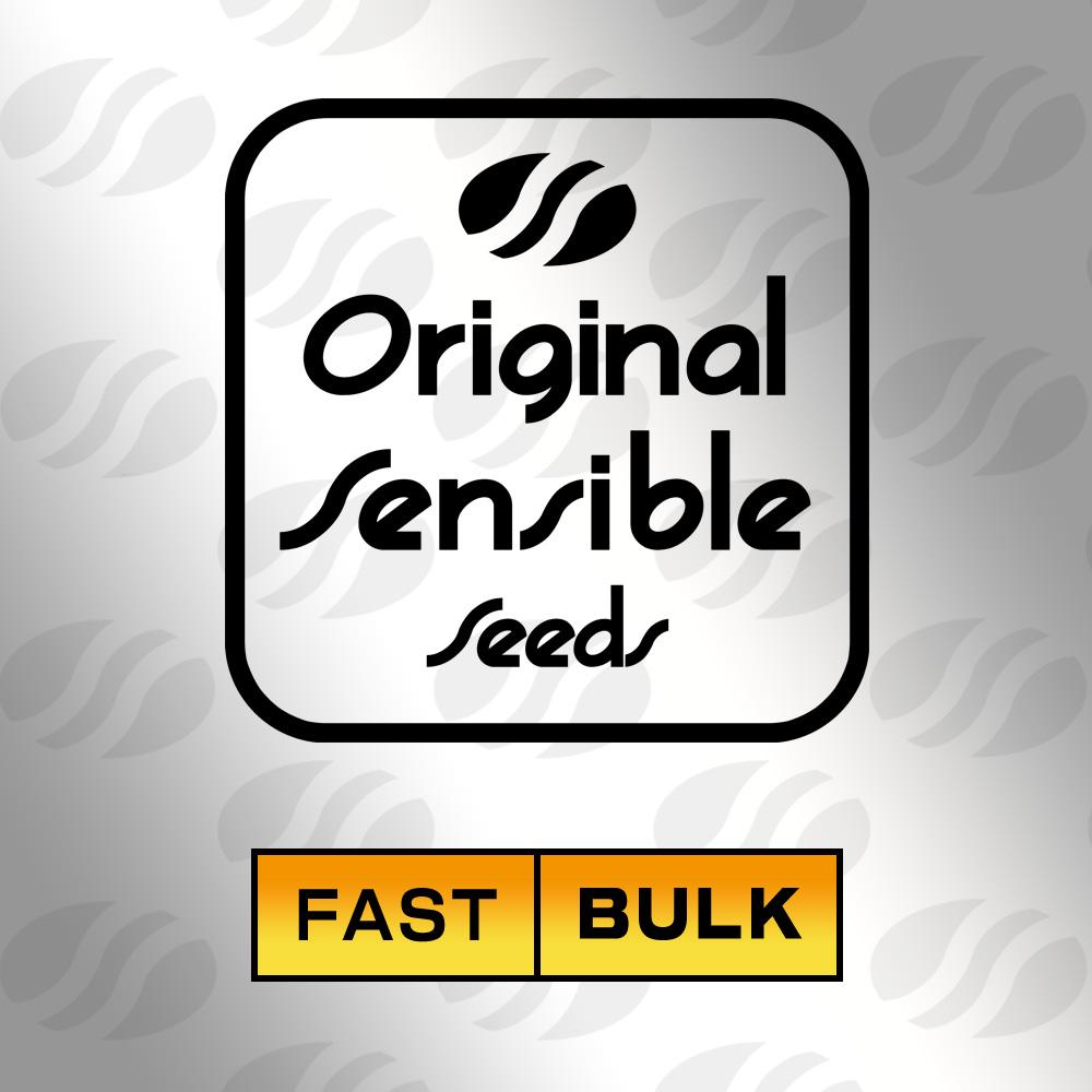 Do Si Dos Fast